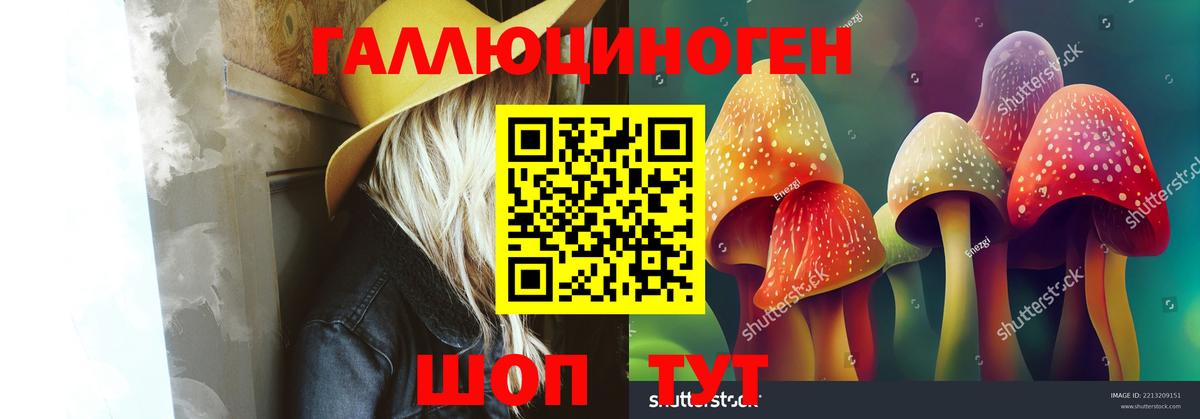 Дивногорск  Псилоцибиновые грибы Psilocybe  Вход с VPN  Псилоцибиновые грибы GOLDEN TEACHER 