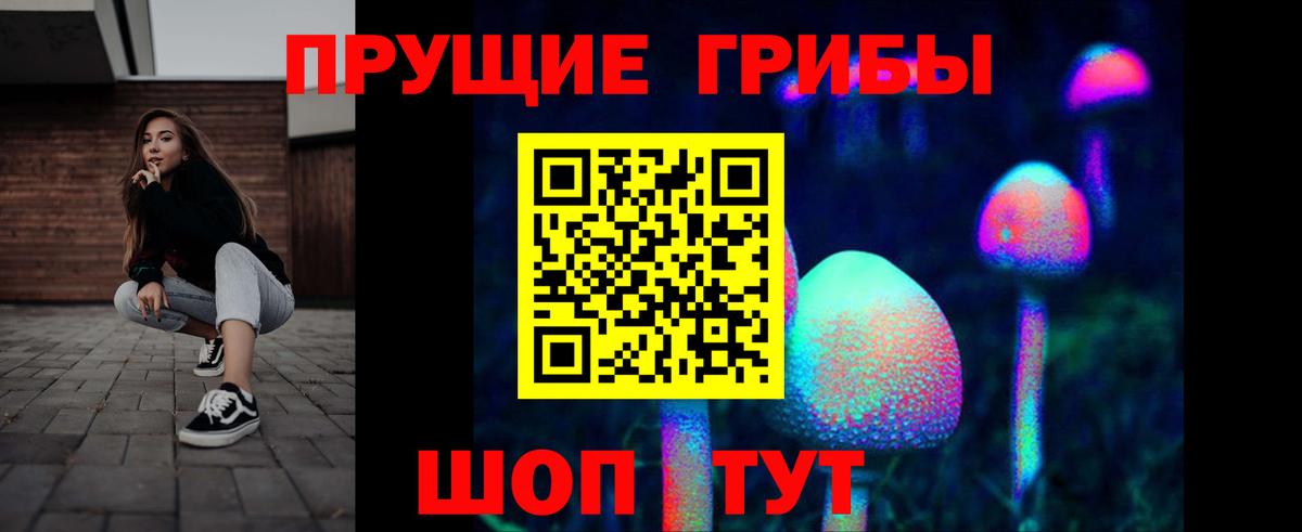 Галлюциногенные грибы Cubensis Дивногорск